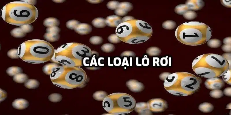 Các loại lô rơi cần biết