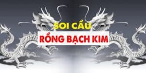 Soi cầu dàn đề rồng bạch kim WW88 chính là công cụ soi dự đoán xổ số uy tín