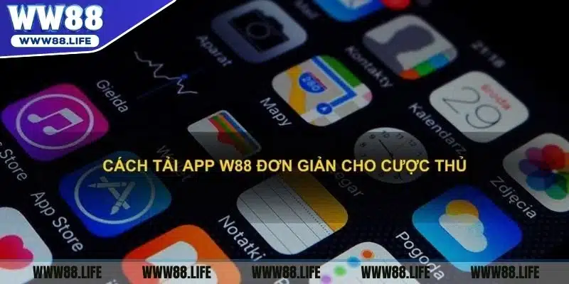 Một số gợi ý về cách khắc phục khi gặp lỗi trong quá tình tải app